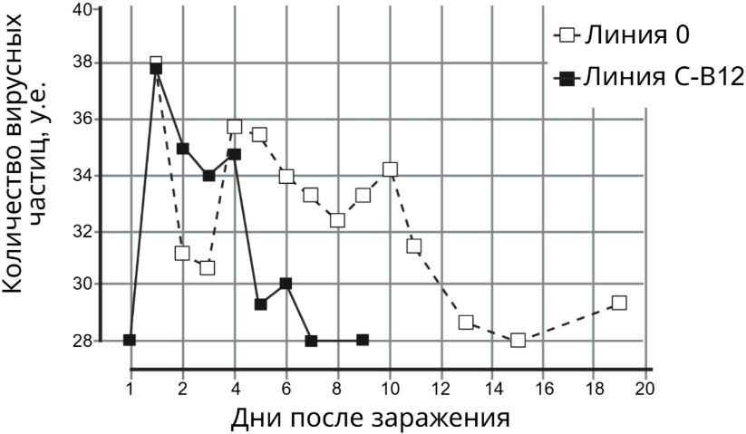 Рисунок