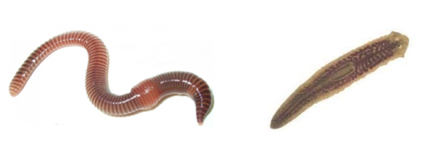 Задание №14629: Выберите три верных ответа из шести и запишите цифры ...