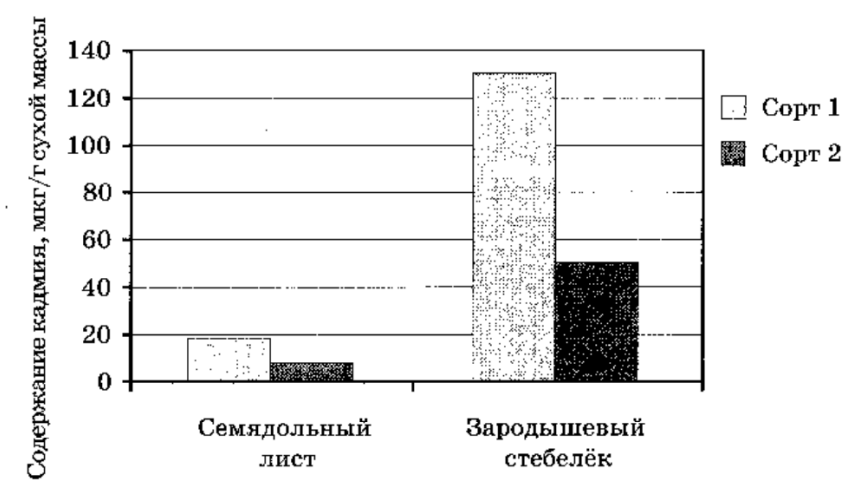 Рисунок