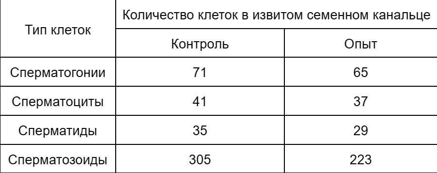 Сперматогенез. Всё, что вы хотели знать, но боялись спросить!