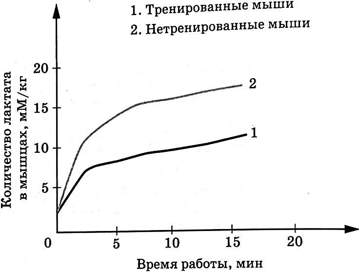 Рисунок