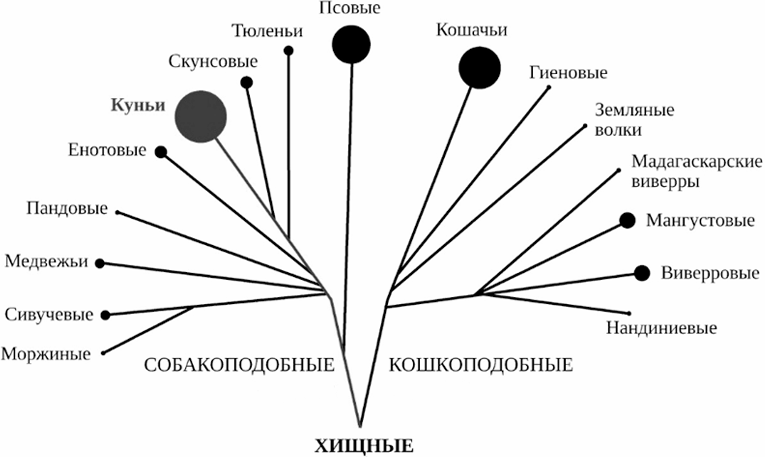Рисунок