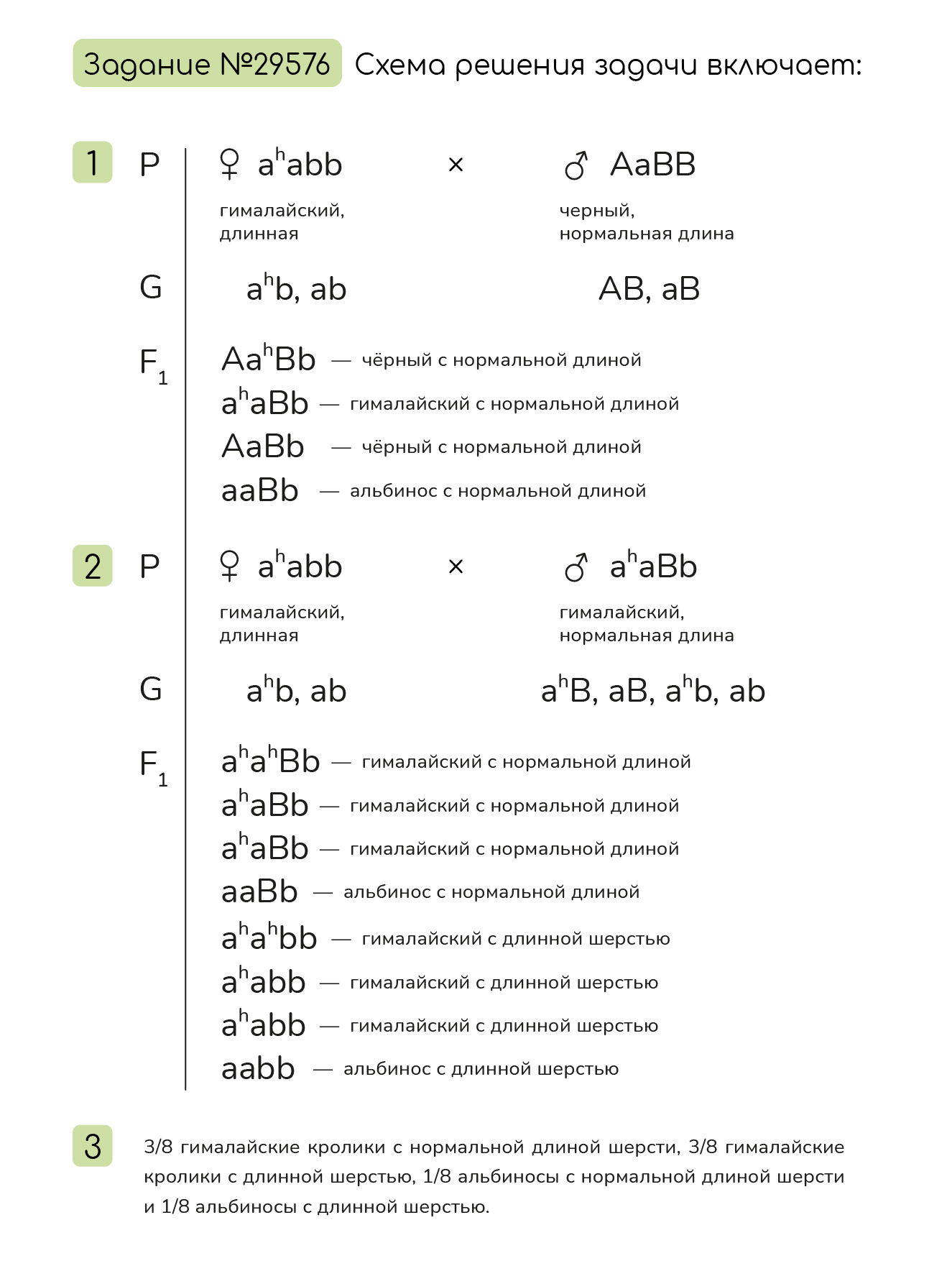 Задание №29576: У кроликов окраска шерсти контролируется серией ...