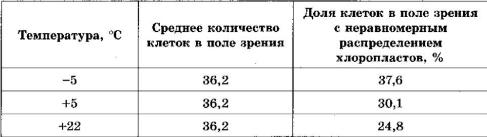 Рисунок