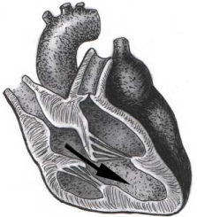 Рисунок