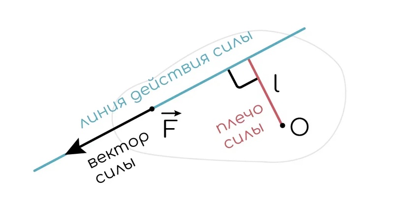 линия действия и плечо силы