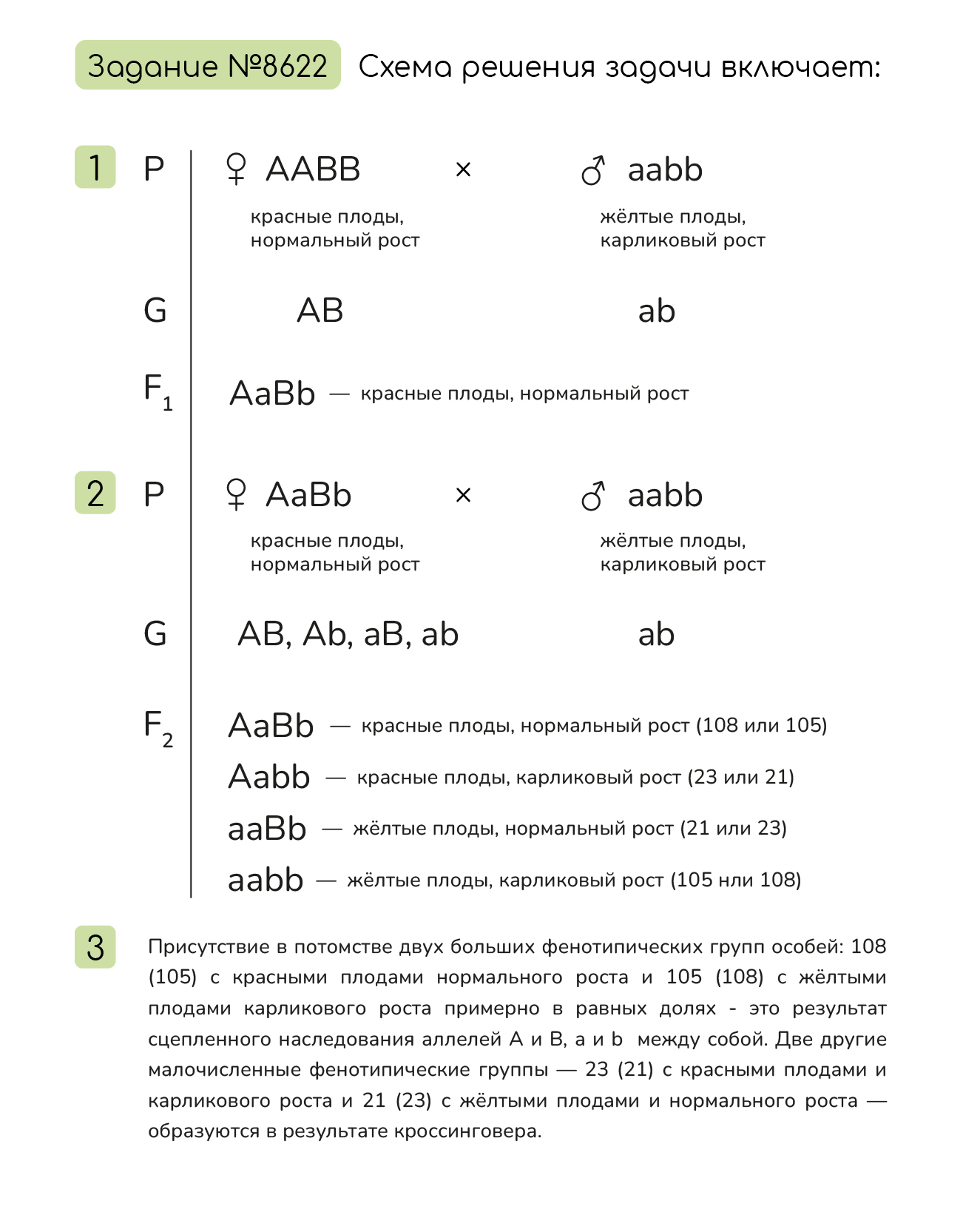 Задание №8622: При скрещивании растения абрикоса с красными плодами и  нормального роста и растения с жёлтыми плодами и карликового роста всё  потомство получилось с красными плодами и нормального роста. В  анализирующ... — NeoFamily