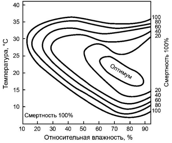 Рисунок
