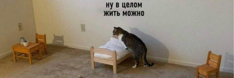 Россия в 2008-2020 годы, изображение №6
