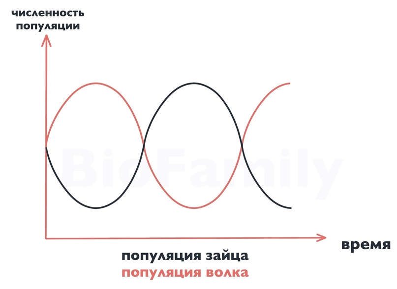 Основы эволюции, изображение №9