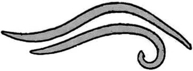 Задание №14714: Выберите три верных ответа из шести и запишите цифры ...