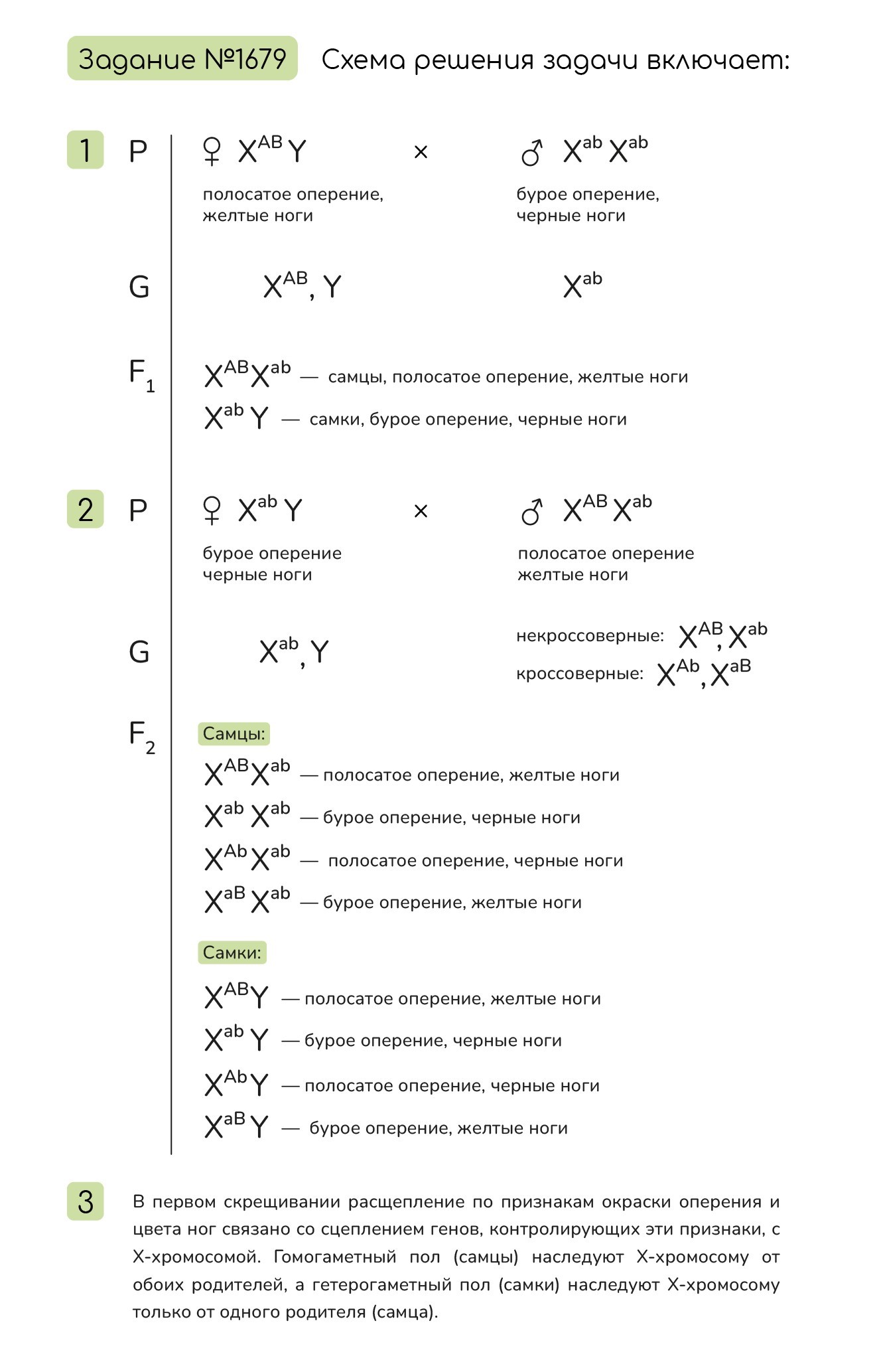 Задание №1679: У кур гены окраски оперения и цвета ног располагаются в ...