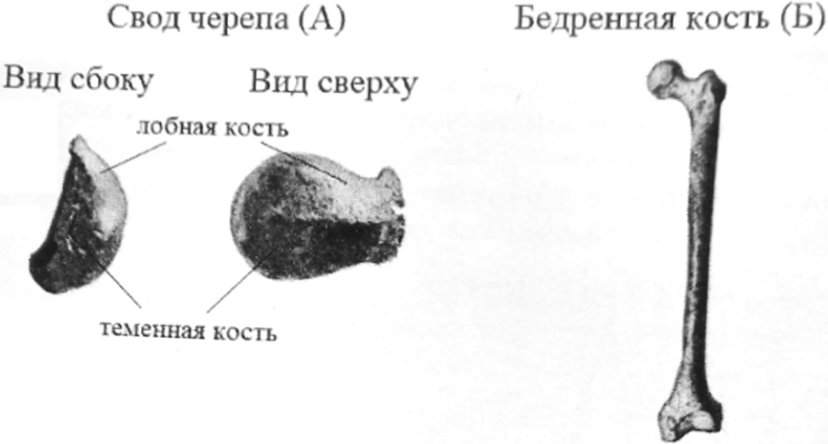 Рисунок