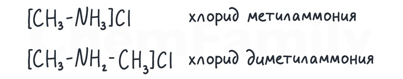 Амины, изображение №3