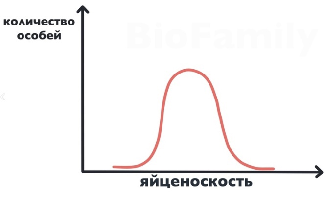 Основы эволюции, изображение №8