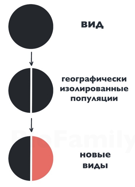 Основы эволюции, изображение №12