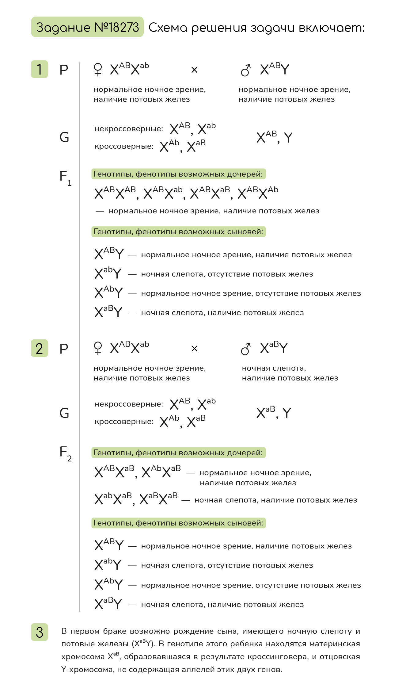 Задание №18273: У человека между аллелями генов ночной слепоты и ...