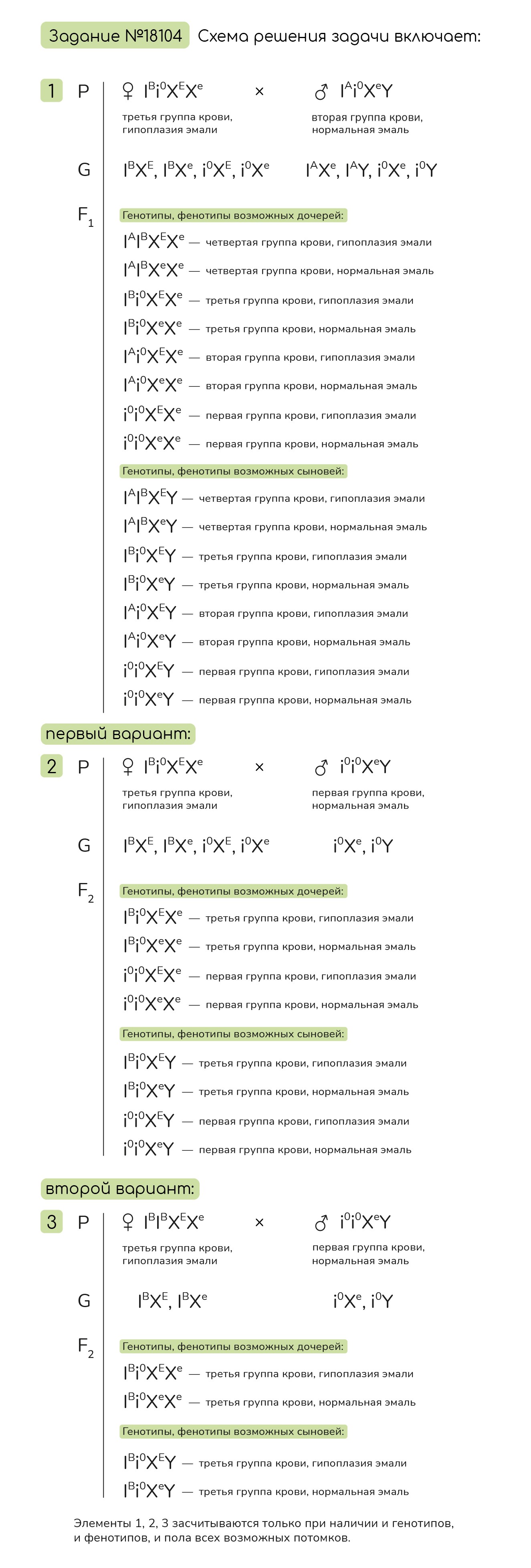 Задание №18104: Группа крови по системе АВ0 контролируется тремя ...