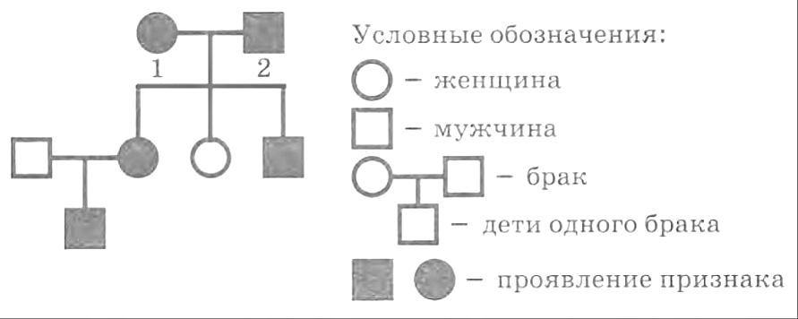 Рисунок
