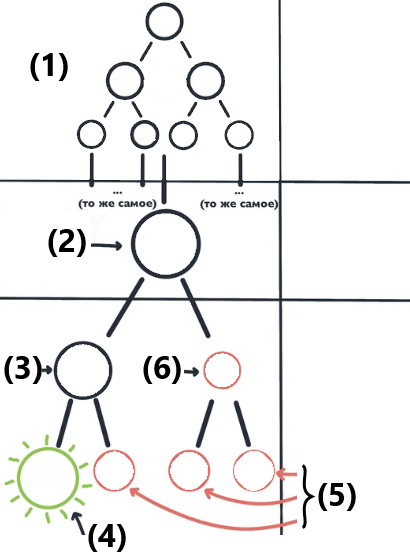 Задание №14389: Выберите три верно обозначенные подписи к рисунку, на ...