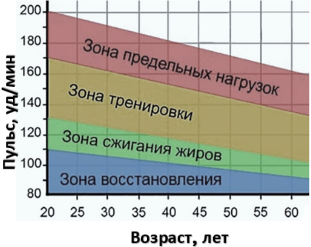 Задание №38698: Проанализируйте график "Зоны пульса во время физической ...