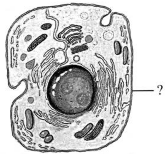 Задание №10090: Выберите три верных ответа из шести и запишите цифры ...