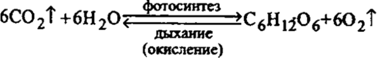 Рисунок