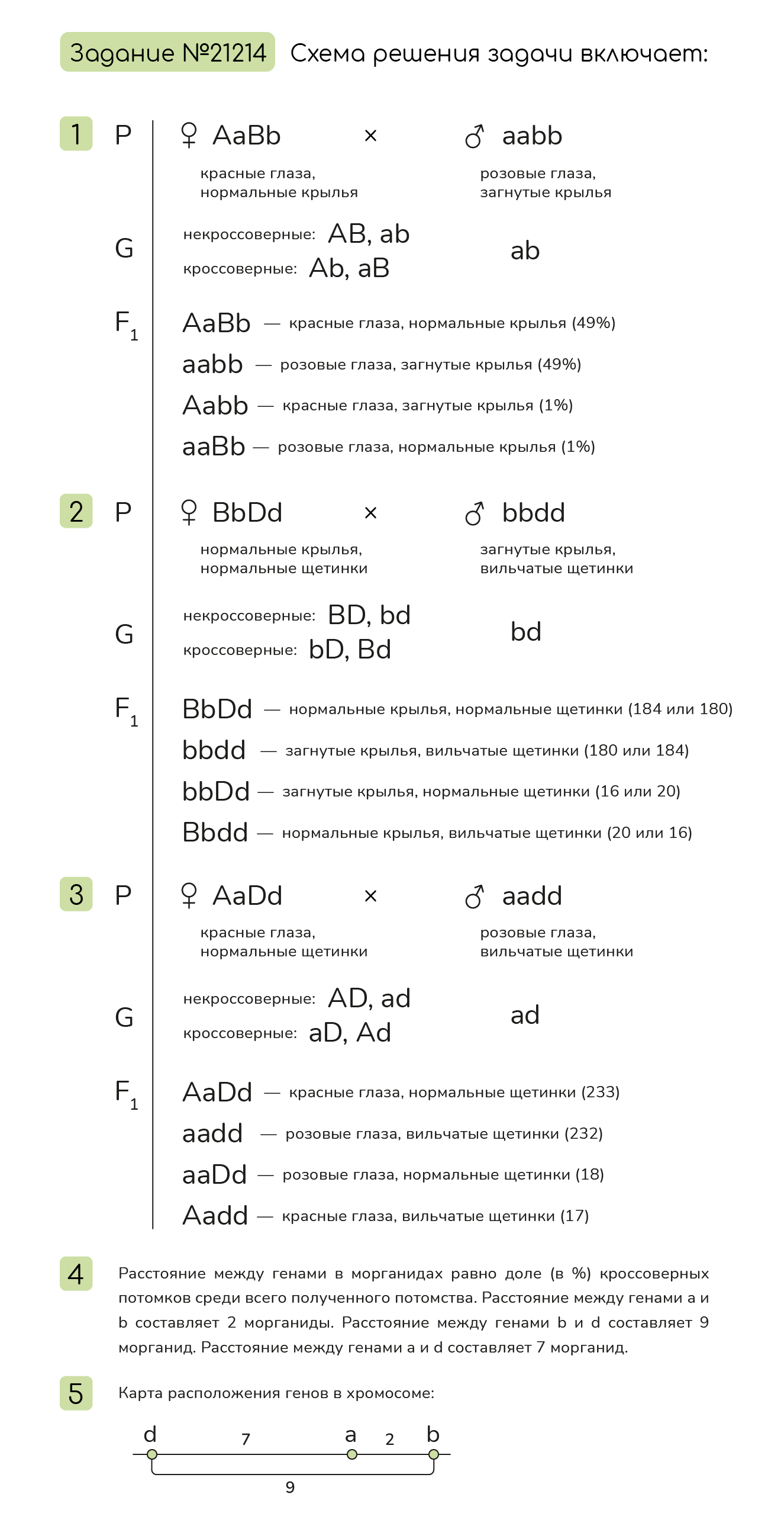 Задание №21214: У дрозофилы аллели генов розовых глаз (a), загнутых ...