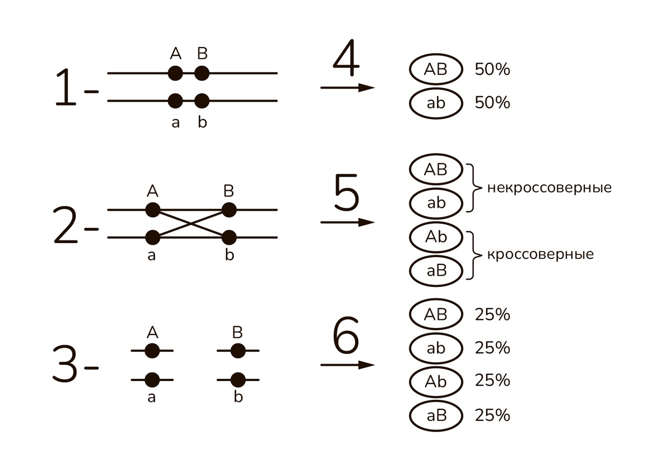 Задание №6858: Установите соответствие между признаками и особенностями ...