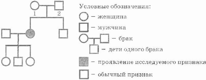 Рисунок