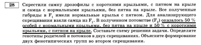 Пояснения к генетическим задачам, изображение №5