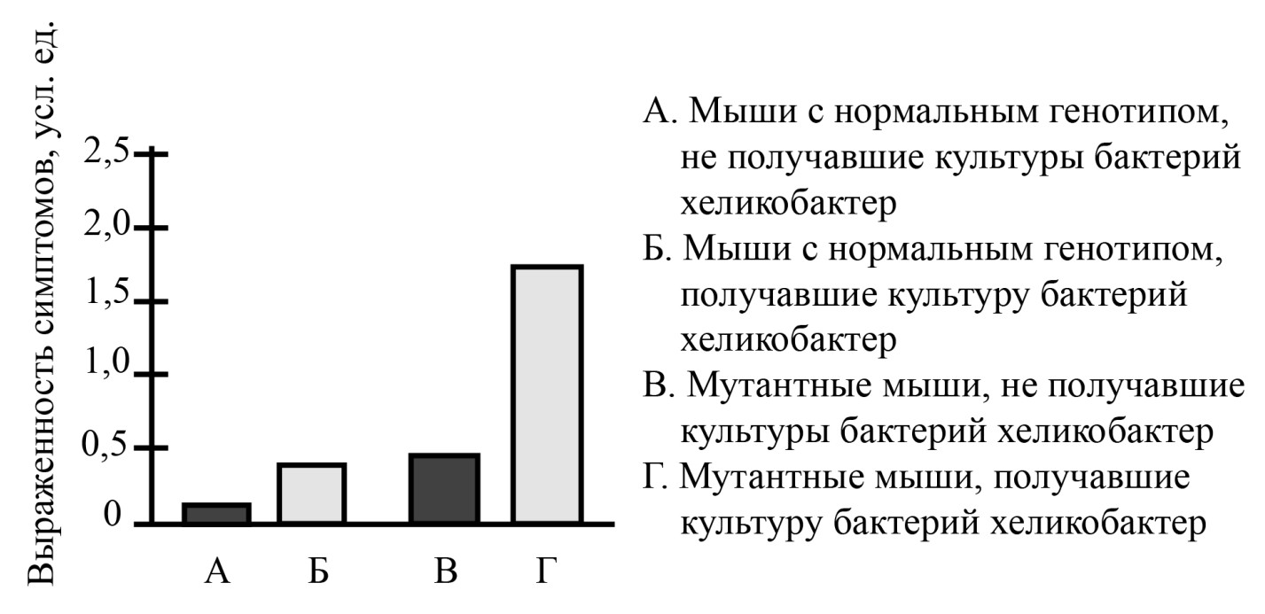 Рисунок