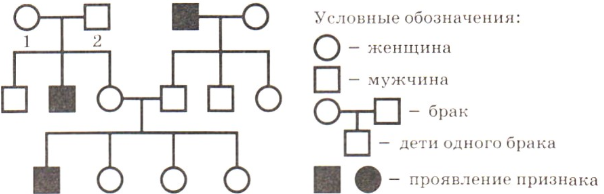 Рисунок