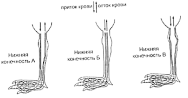 Рисунок