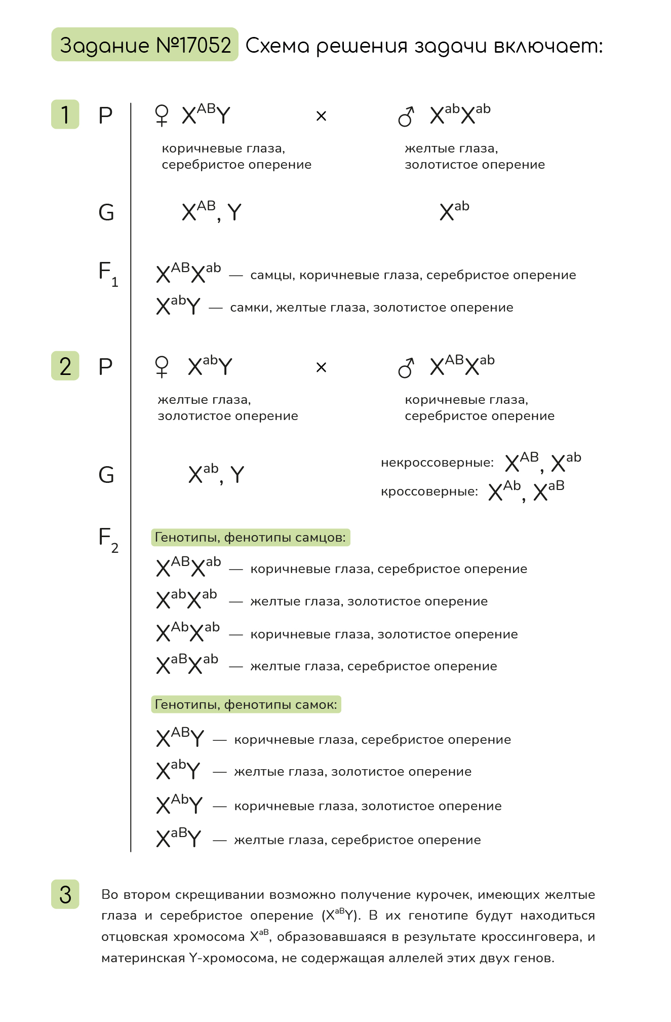 Задание №17052: У птиц гетерогаметным является женский пол. У кур ...