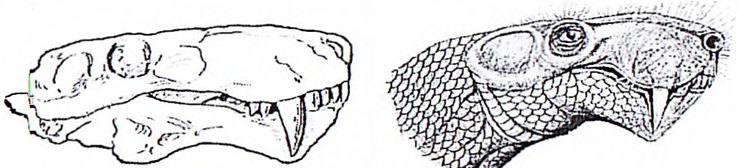 Рисунок