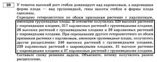 Пояснения к генетическим задачам, изображение №7