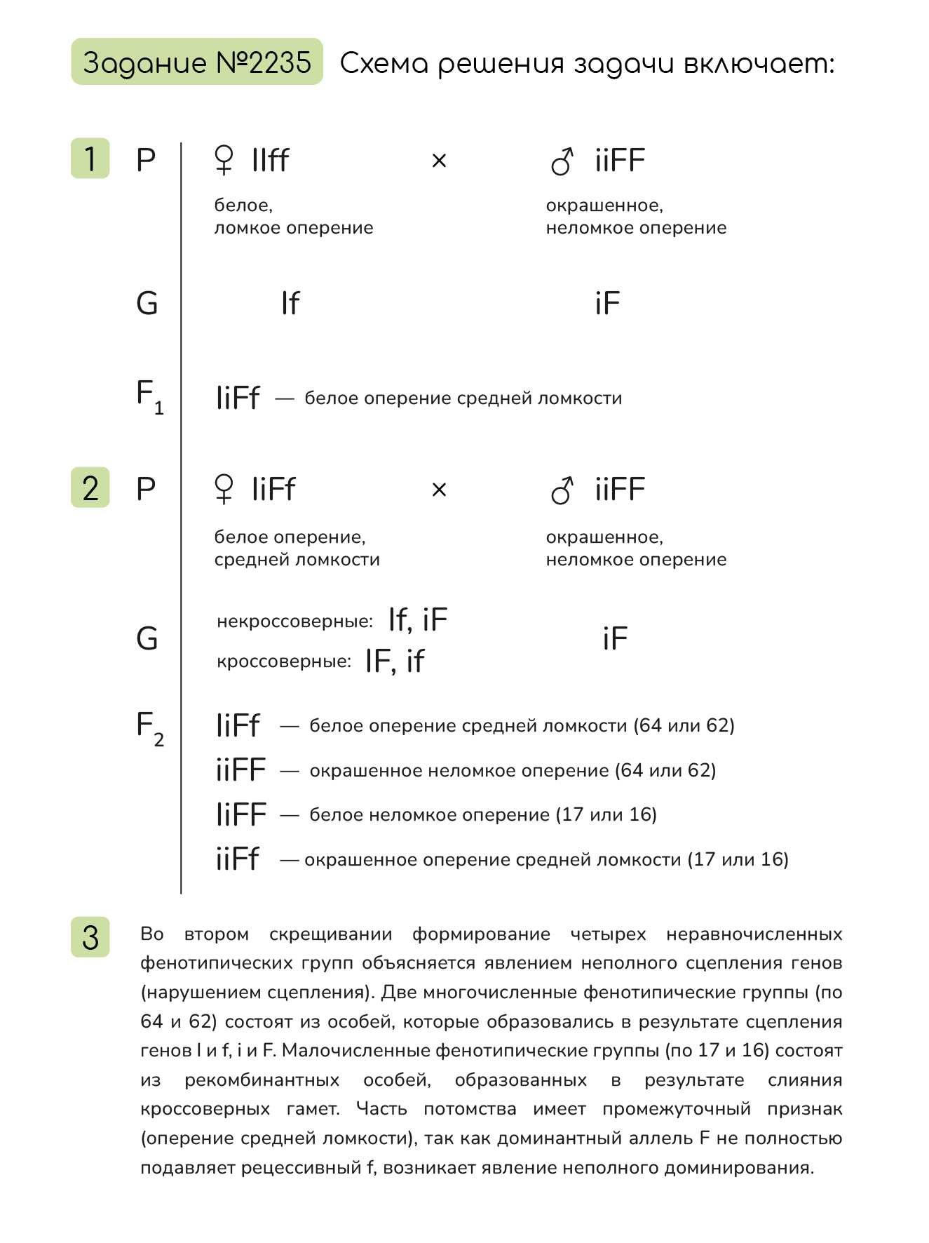 Задание №2235: У кур ген i определяет образование пигментов оперения ...