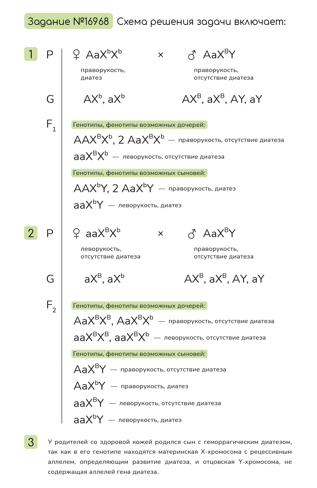 Задание №16968: Праворукость у человека контролируется аутосомным геном ...