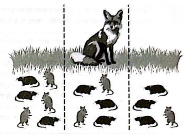 Рисунок