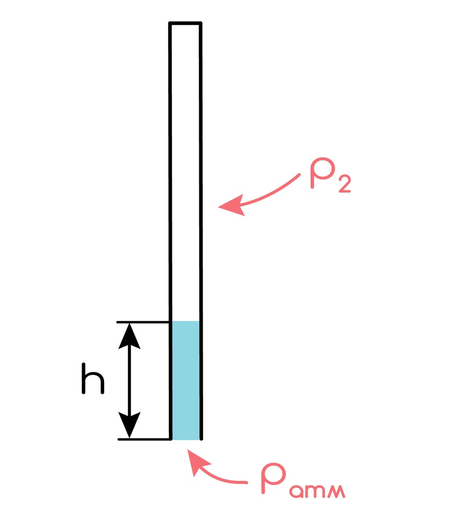 Газ под поршнем, газ отделен столбиком ртути от атмосферы. Воздухоплавание:  теория и практика ЕГЭ-2025 по Физике — NeoFamily