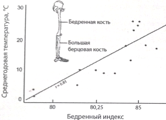 Рисунок