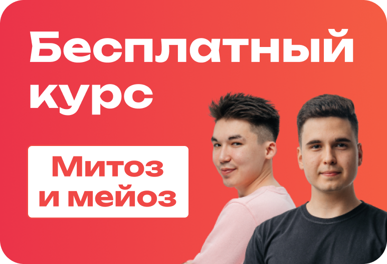 Бесплатный интенсив по митозу и мейозу